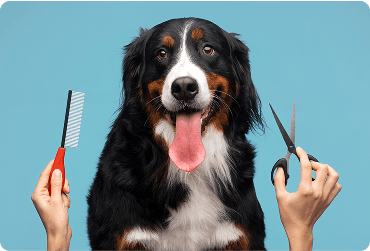 Grooming