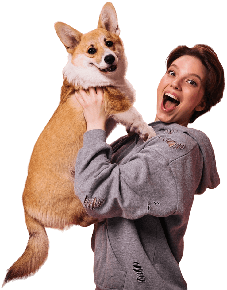 Pet Care Image